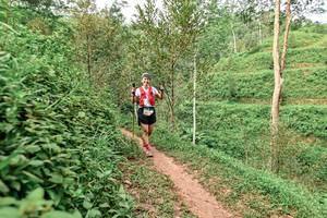 BIB: 
                            <button type="button" onclick="openModal(24878406)" class="btn btn-primary btn-sm float-right btn-popup" data-toggle="modal" data-target=".modal-high-quality">
                        <i class="fas fa-shopping-cart"></i> Add to Cart
                    </button>
                                            <button type="button" onclick="isThisMe(24878406, true)" class="btn btn-success btn-sm float-right btn-popup btn-isme hidden" data-toggle="tooltip" data-placement="bottom" title="นี่คือรูปของคุณใช่ไหม คลิกที่นี่เพื่อเอาเข้าอัลบั้ม">
                        <i class="fas fa-plus"></i> Add to album
                    </button>
                    <button type="button" onclick="isThisMe(24878406, false)" class="btn btn-warning btn-sm float-right btn-popup btn-isnotme hidden">
                        <i class="fas fa-ban"></i> Remove from album
                    </button>